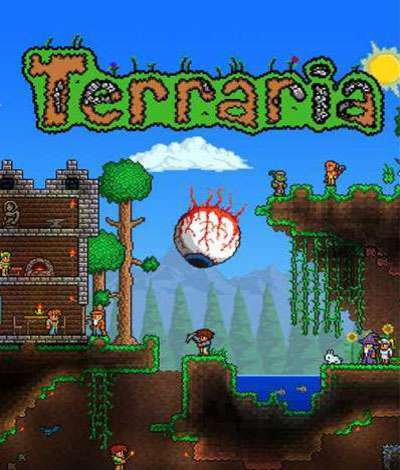 Terrariaサーバー