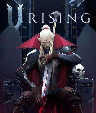 V Risingサーバー